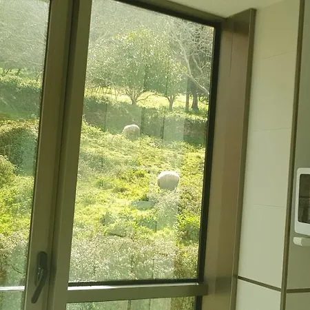 Centro Appartement Viveiro