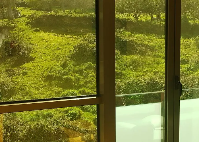 Centro Вивейро